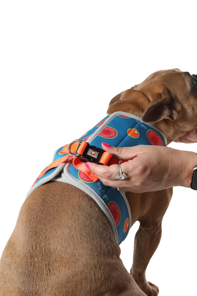 3 in 1 Cooling & Anti-Anxiety Dog Harness | Guava & Quenepas